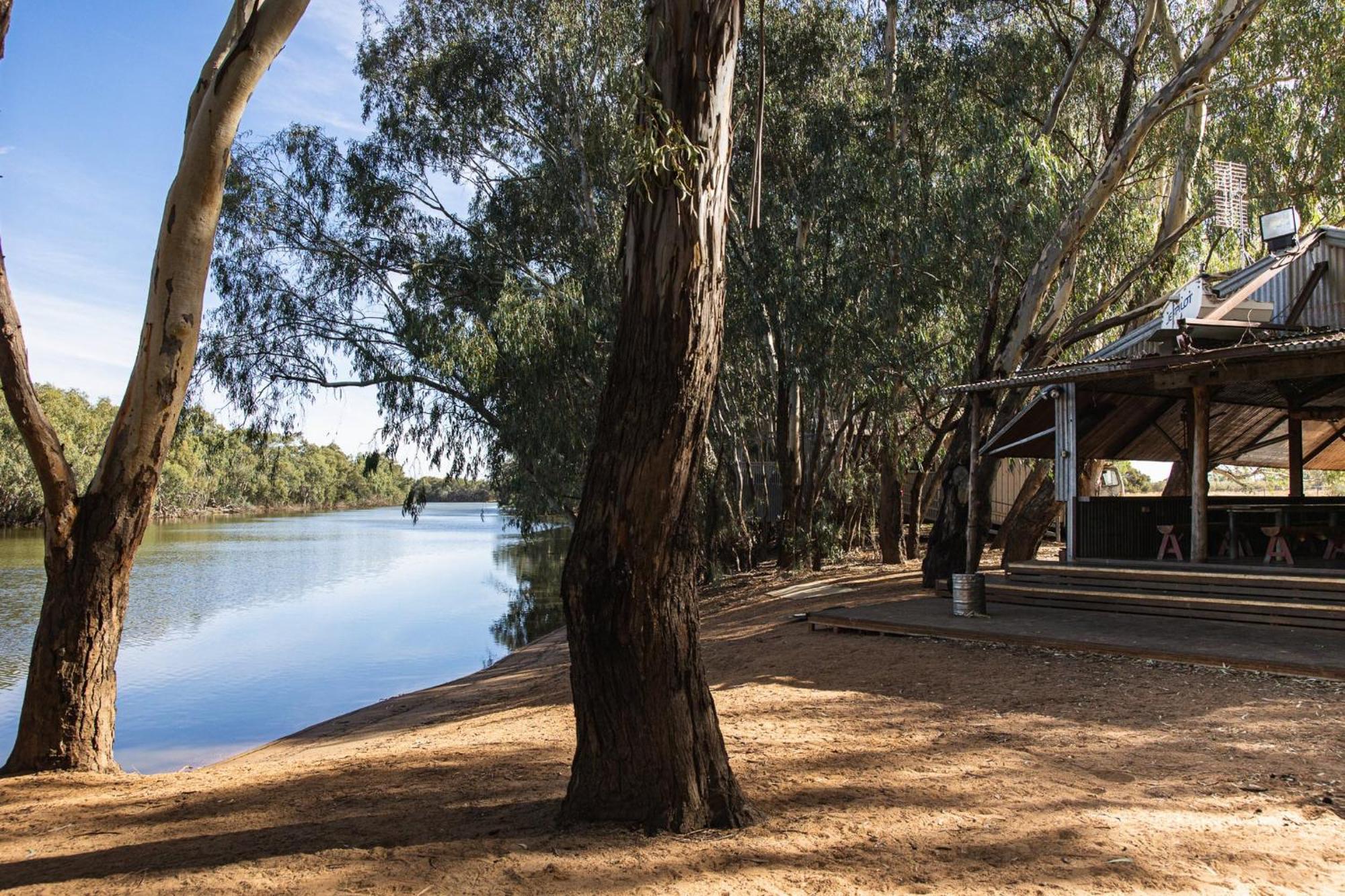 ホテル Nyngan Riverside Tourist Park エクステリア 写真