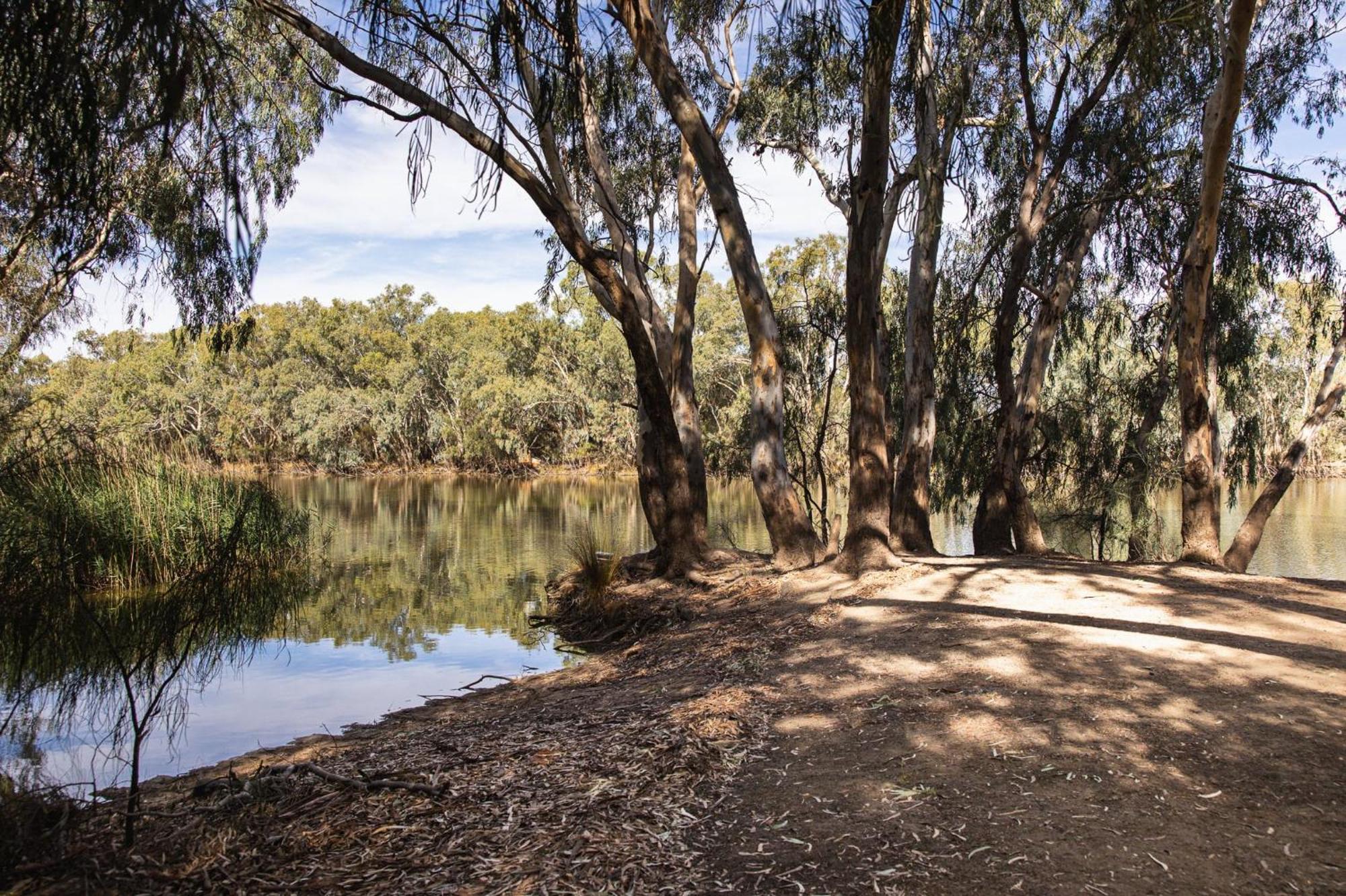 ホテル Nyngan Riverside Tourist Park エクステリア 写真